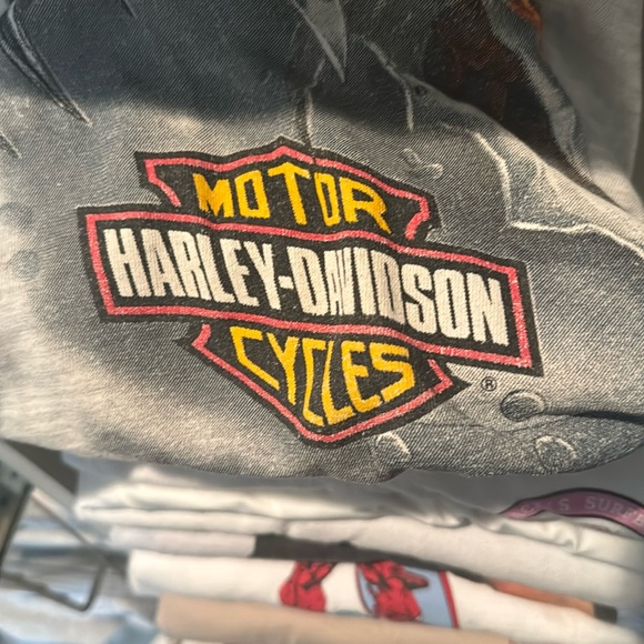 Meet your Posher, Cooper - Picture 1 of 1